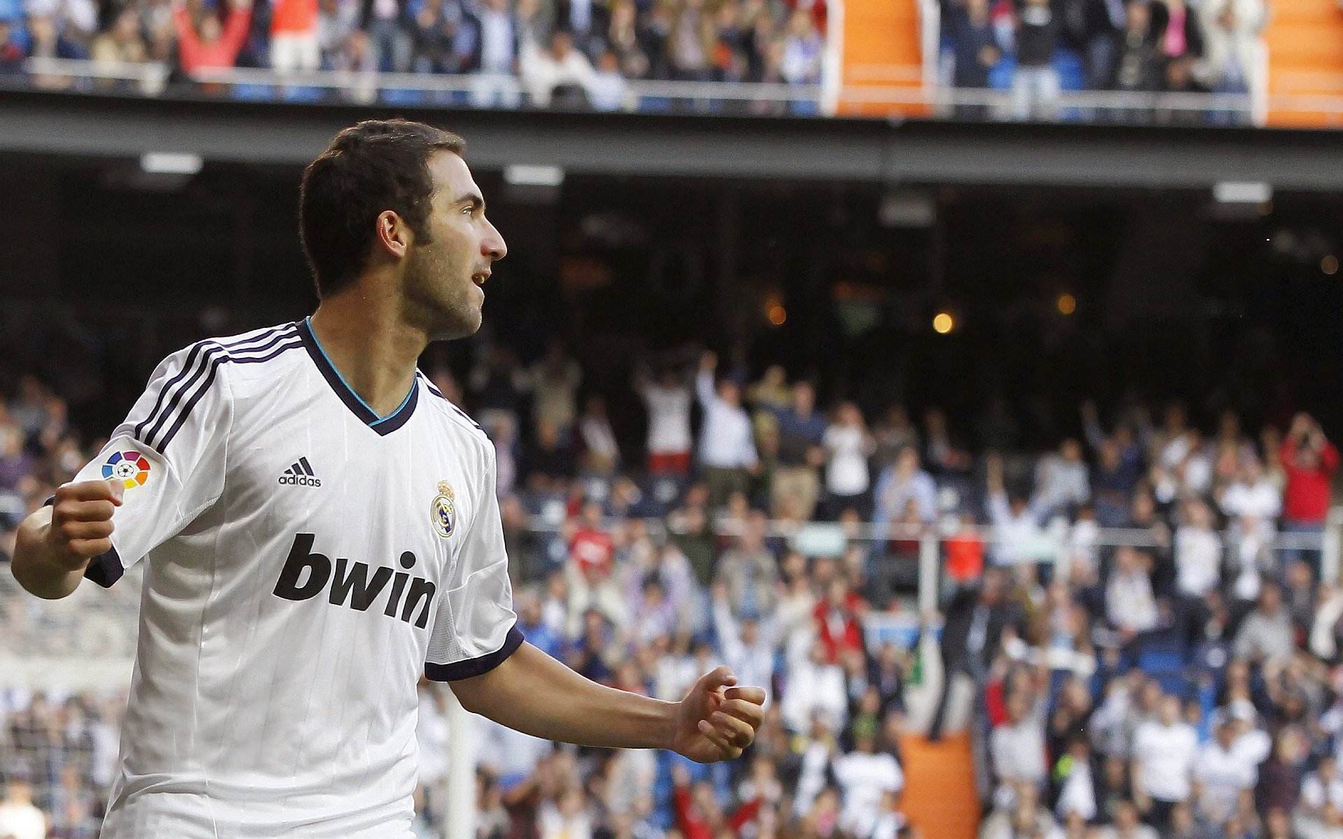 2026体育赛季冠军争夺，近期体育冠军